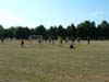 gytis_053