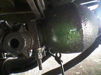 20140201_145255.jpg