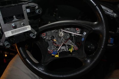 IMG_5006Large.jpg