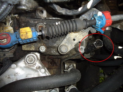 DSC07346_resize_resize.JPG