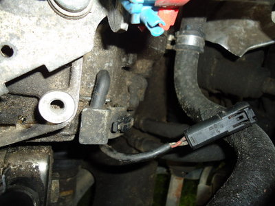 DSC07349_resize_resize.JPG